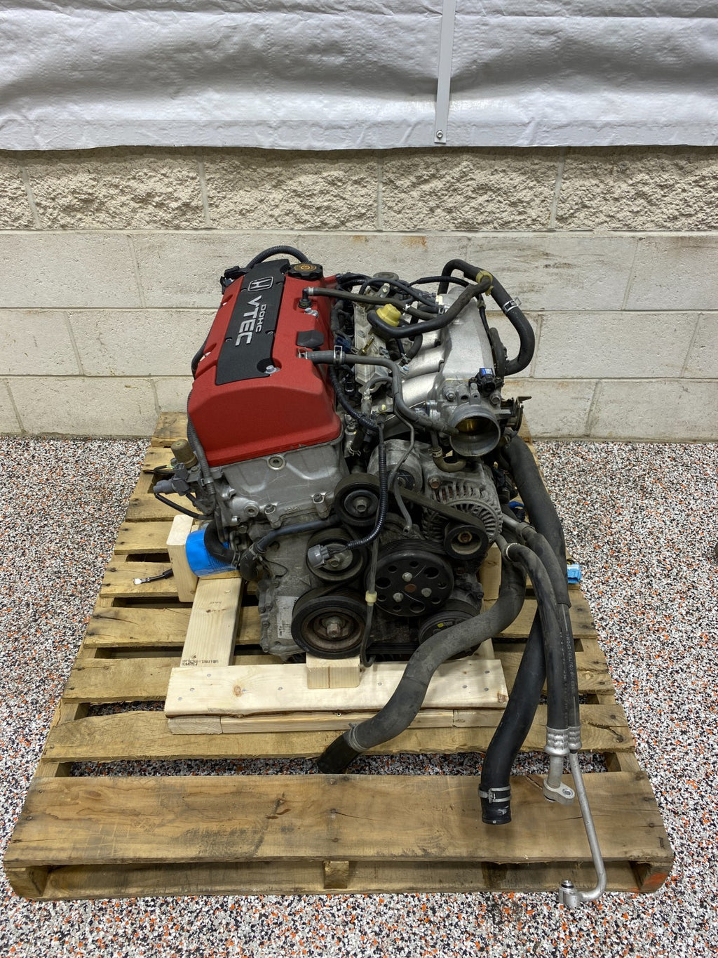 45197548
