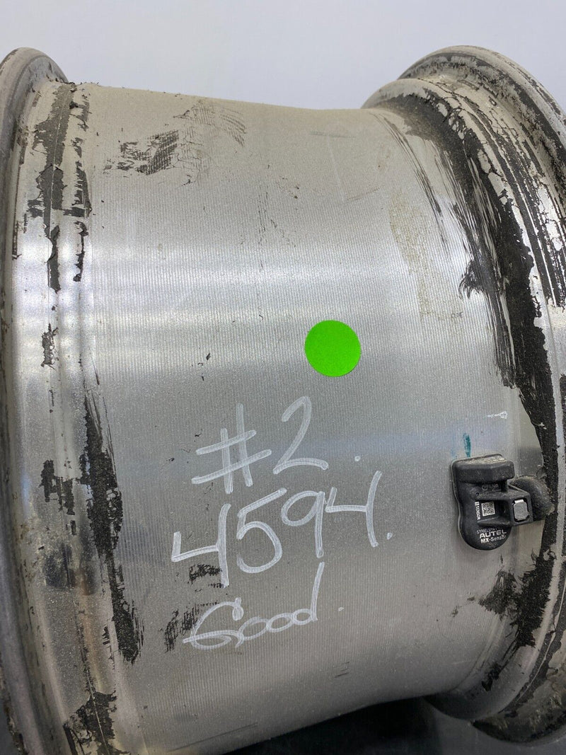 44203433