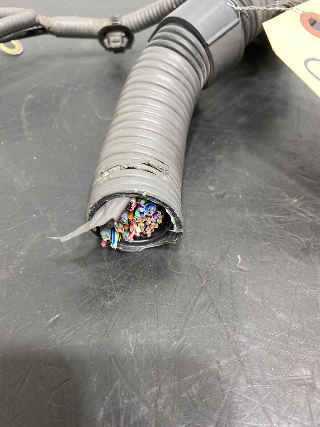 44061342