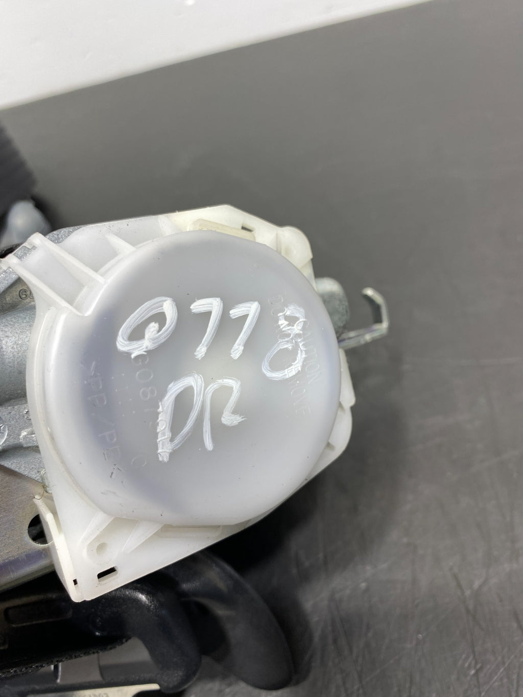 45203954