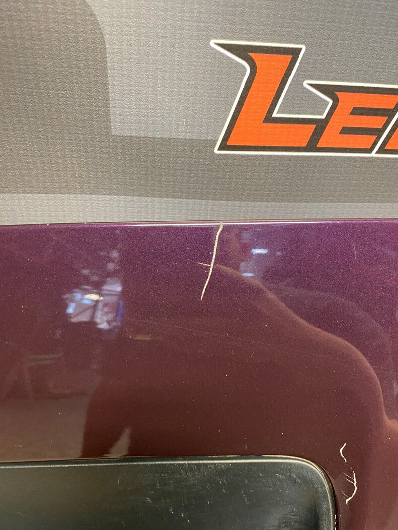2020 DODGE CHALLENGER HELLCAT RED EYE OEM HOOD DUAL VENT! -LOCAL PICK UP ONLY-