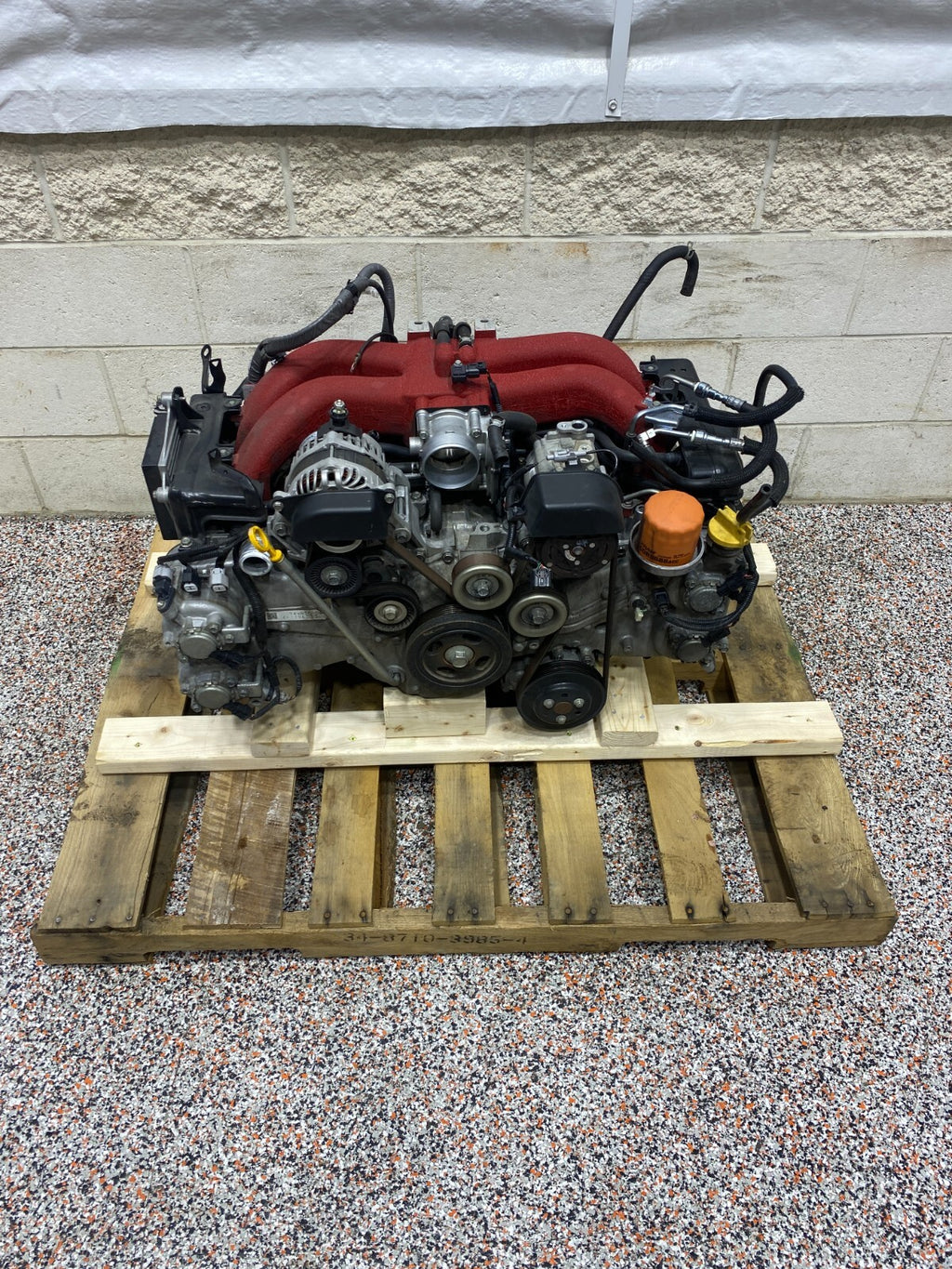 45030567