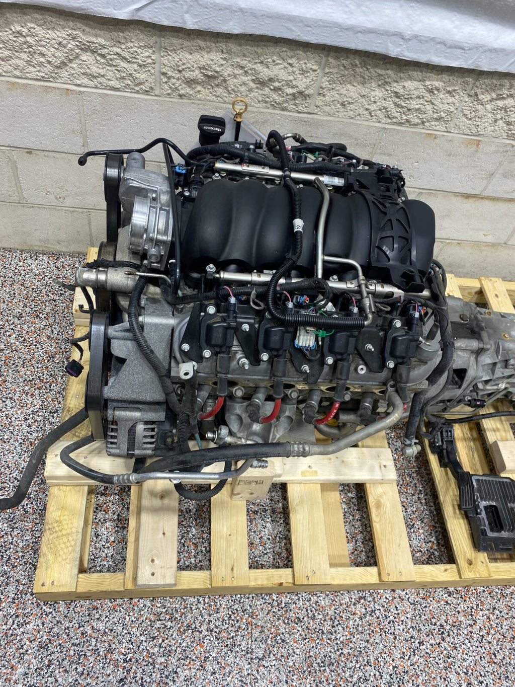 45030566