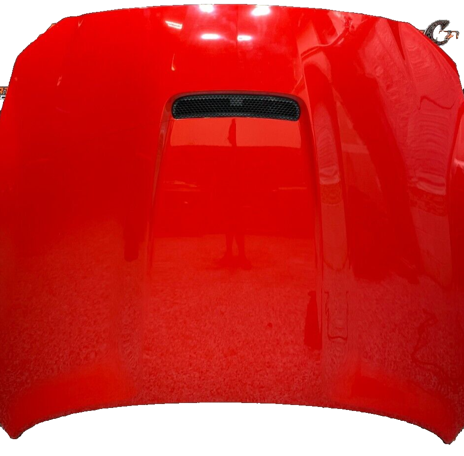 2016 FORD MUSTANG SHELBY GT350R OEM HOOD -LOCAL PICK UP ONLY-
