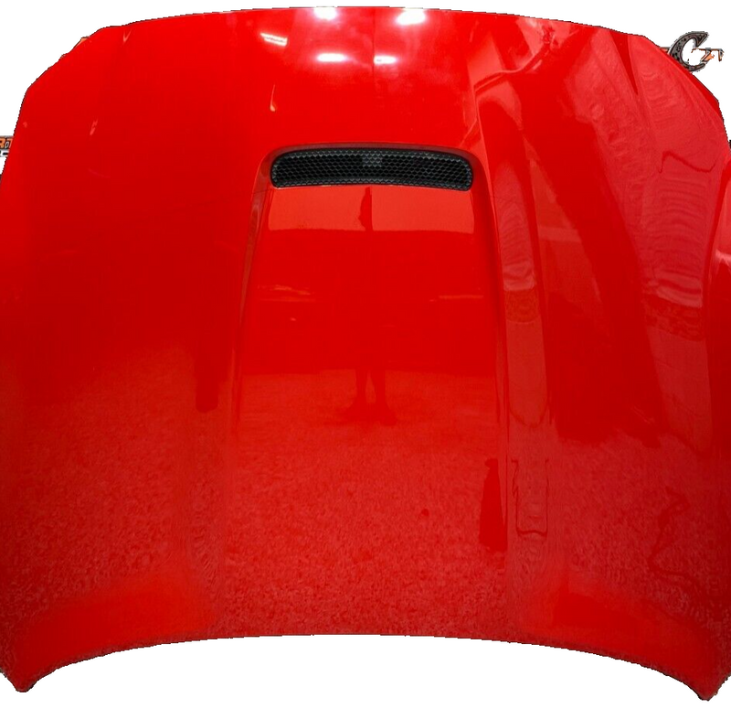 2016 FORD MUSTANG SHELBY GT350R OEM HOOD -LOCAL PICK UP ONLY-