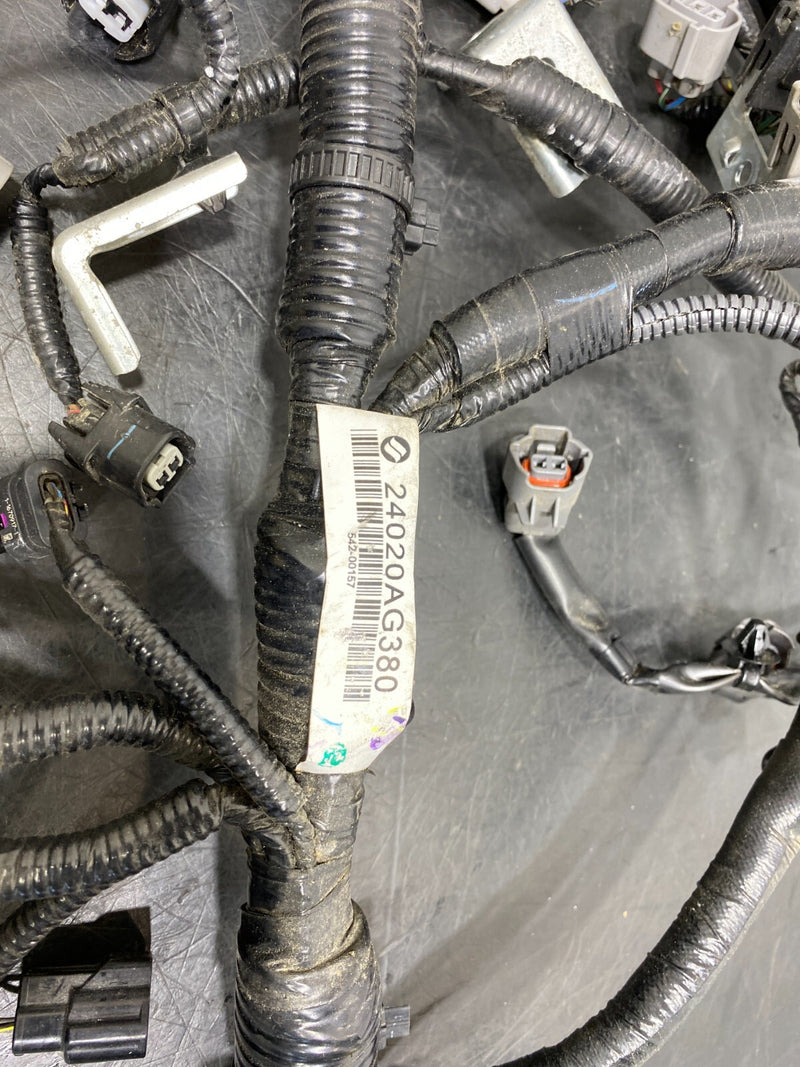 44694338