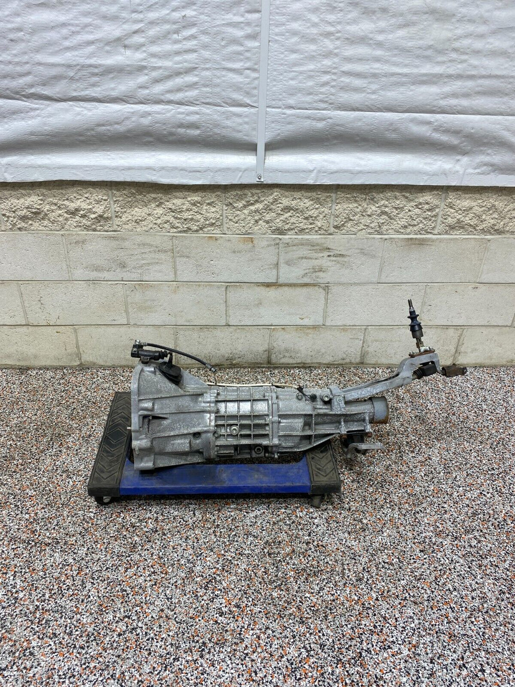 44248673